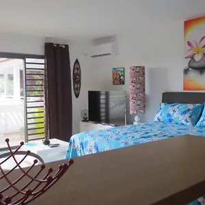 Studio Coquet à Appartement